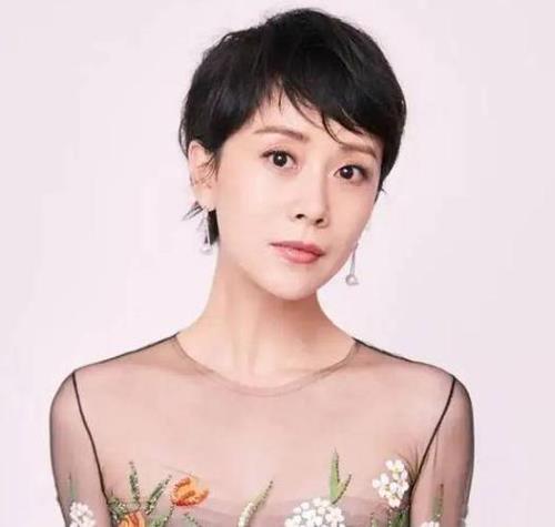 小凤和海清是什么关系