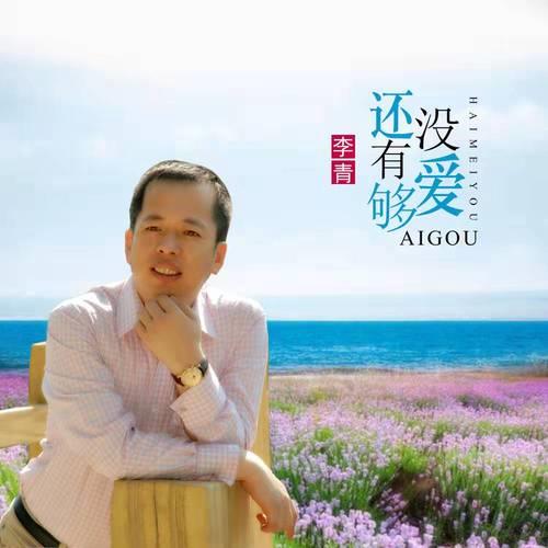 还没有爱够歌词