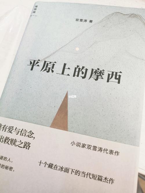 平原上的摩西共几集