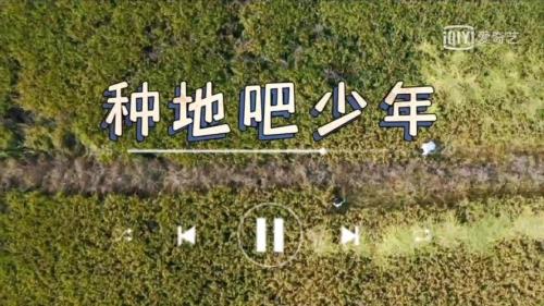 种地吧少年一共几集