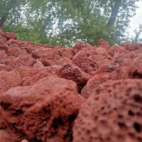 杜鹃花可以用火山石铺面吗