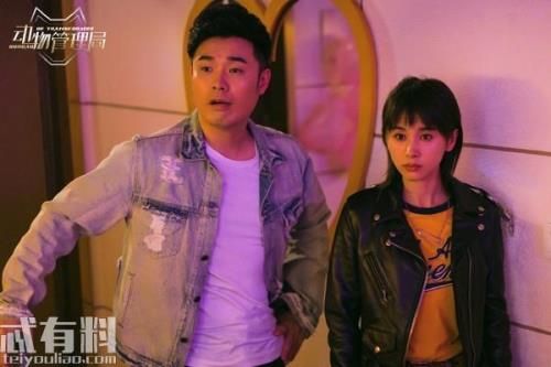 动物管理局兔子精露腿是谁演