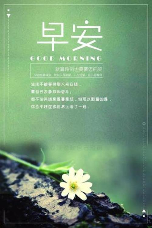 早上鼓励的暖心句子