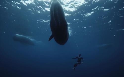 深海原本结局是双死吗
