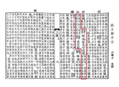 梓说文解字