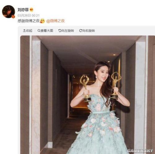 刘亦菲获奖感言说了啥