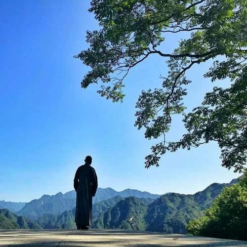 观山海见众生什么意思呀