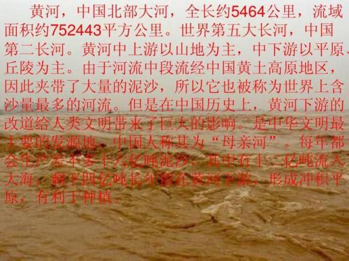 1965年黄河大蛇长什么样
