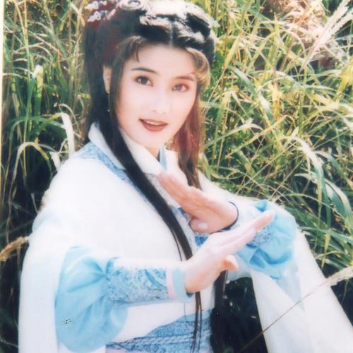 中原镖局剑夫人见赵燕翎哪一集