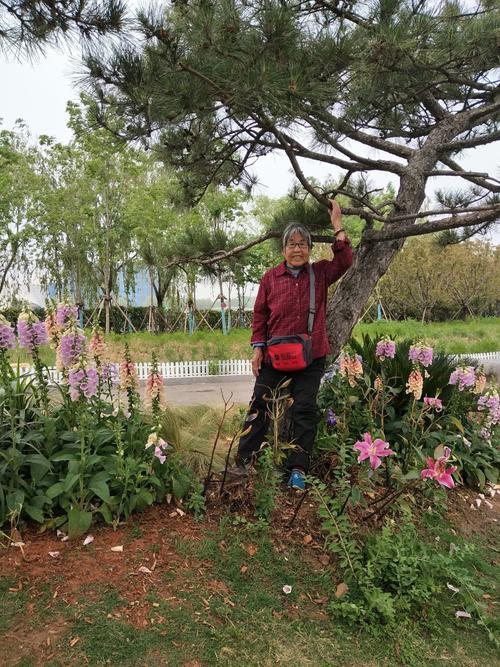 微笑妈妈桂珍知道花海身世