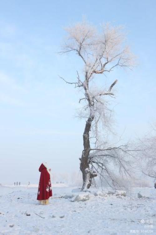 雪仙情内容介绍