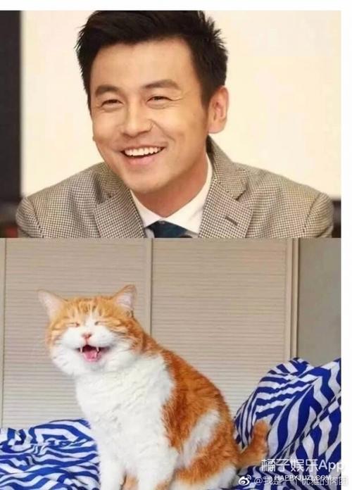 雷佳音出名还是张译出名