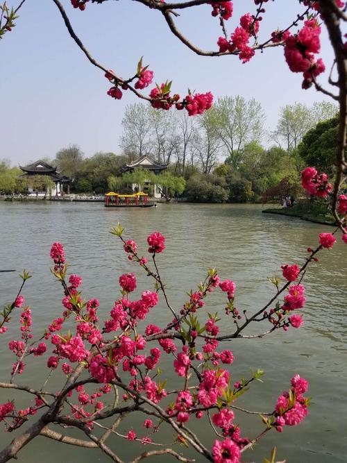 烟花三月谁唱得最好