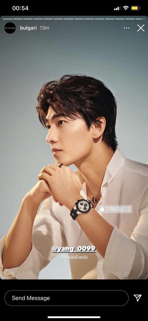 杨洋是宝格丽的什么代言人