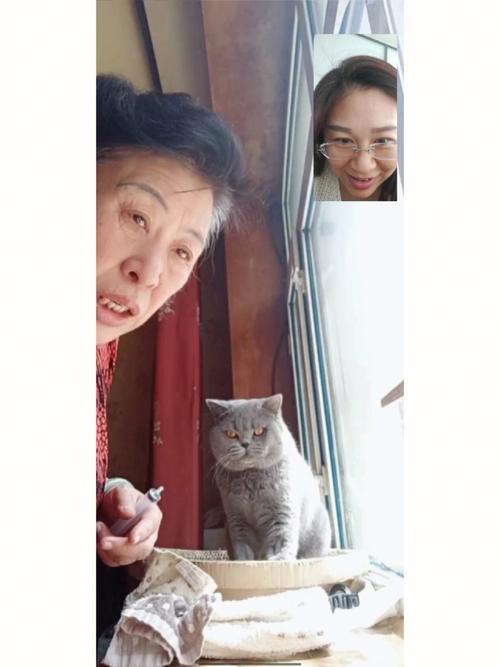 做家务的男人福宝是谁的孩子