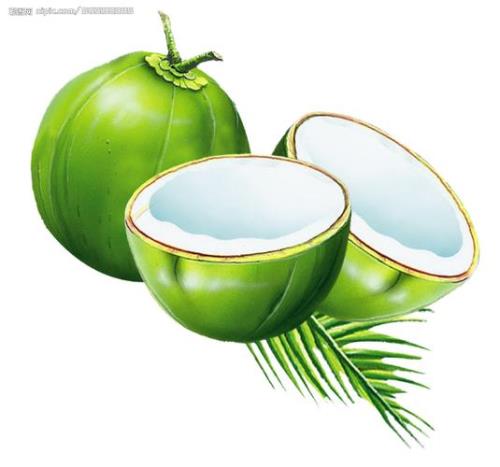 金椰子与青椰子的区别