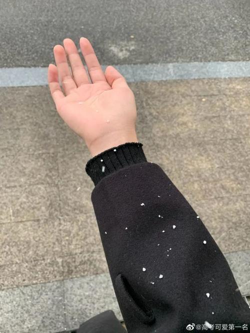 下雪前下的小颗粒叫什么