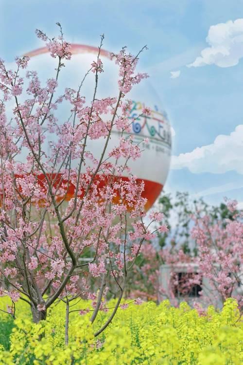 花开主题公园门票多少
