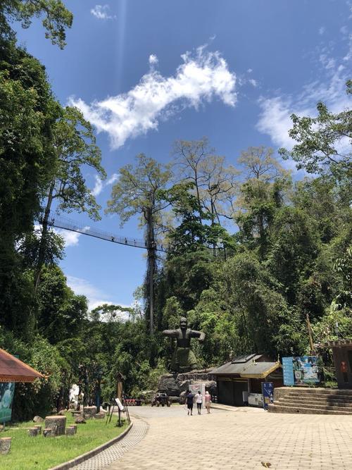 望天树景区游船值得坐吗