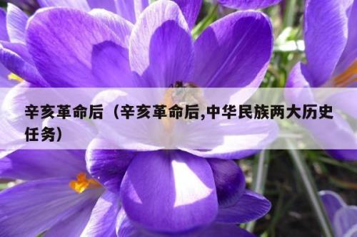 辛亥月是几月