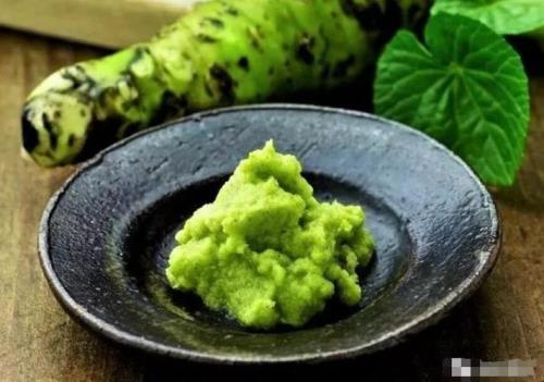 芥末怎样调才会出辣味