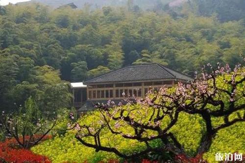 桃林沟春节开放吗