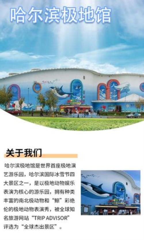 哈尔滨极地馆表演时间是什么