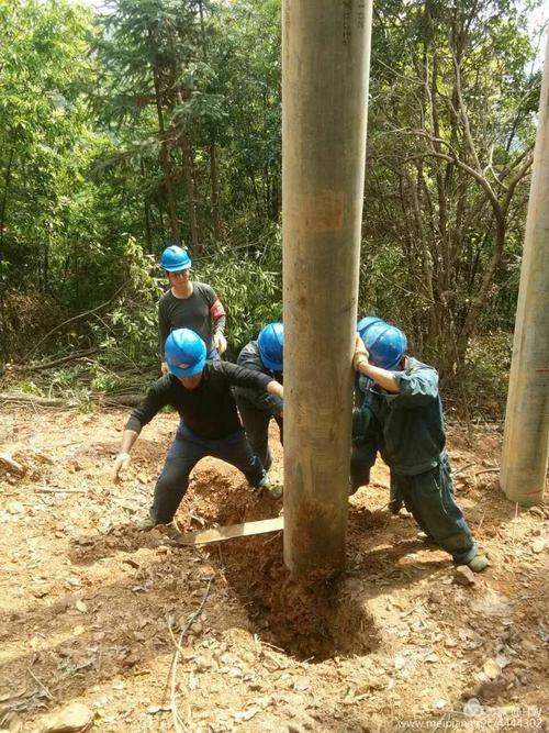 架设新电杆需要哪些部门手续