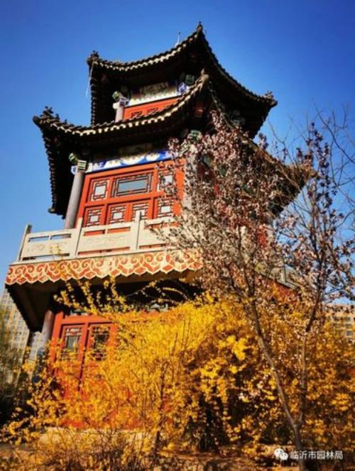 临沂兰山适合情侣游玩的地方