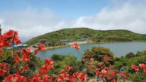 潮州凤凰山杜鹃花开花时间