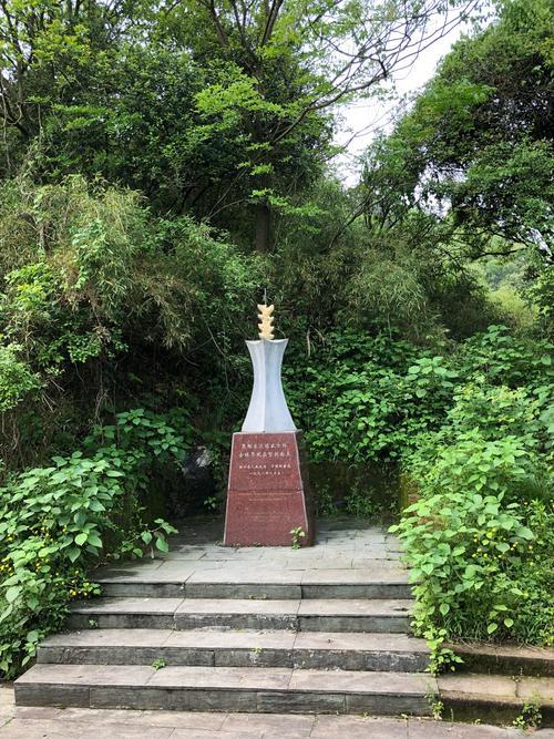 金钉子长什么样