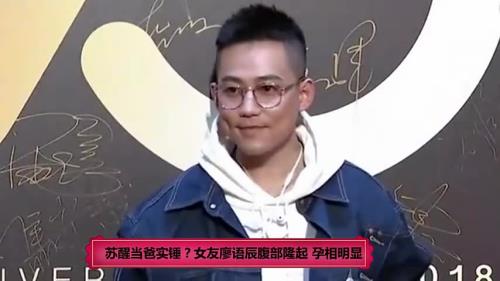 苏醒和廖语辰是情侣吗