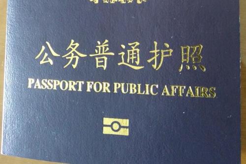 护照类型P是什么意思啊