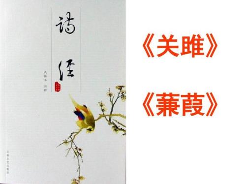 关雎的雎啥意思