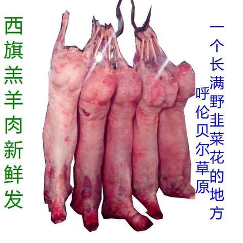 15年的羊的正常身高