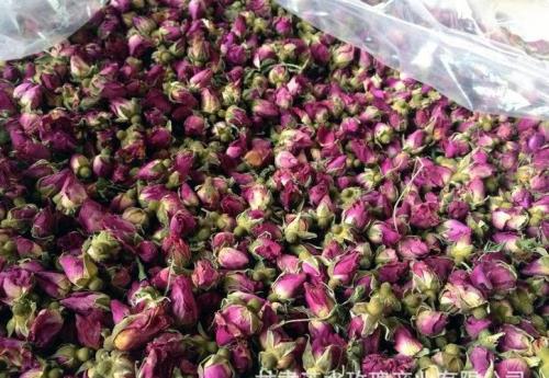 玫瑰花什么产地好