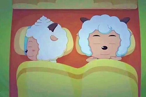 喜羊羊和懒羊羊同父异母