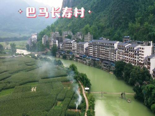 巴马兴寿村山东人