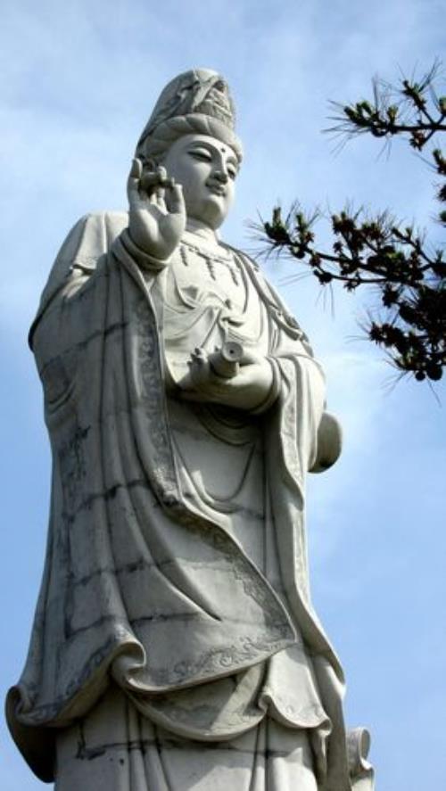 牛迹山梅花园要门票吗