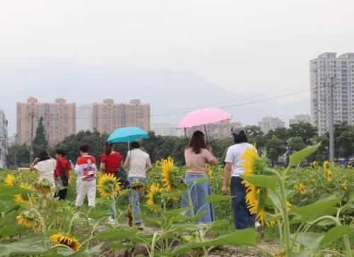 在瓯海有地种吗