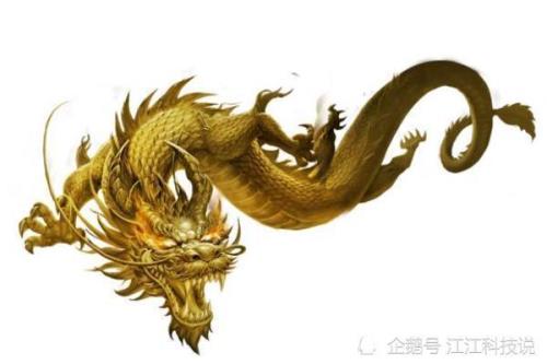 龙的肚子里有什么