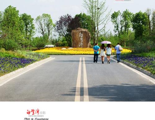 白鹭湾和三圣乡哪个更好