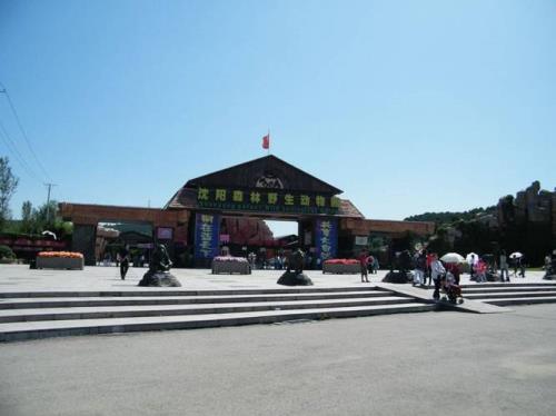 沈阳有哪些适合孩子玩的地方