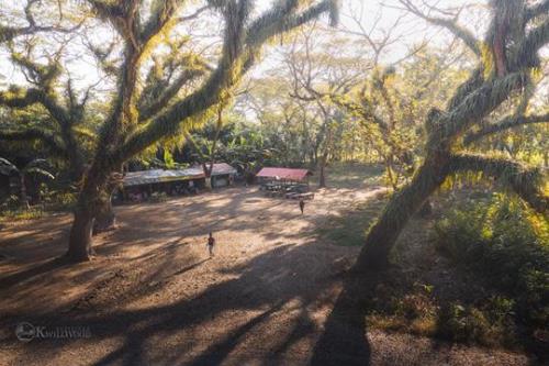 印度尼西亚热不热呀