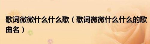 微微歌曲表达了什么