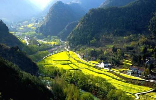 汉中油菜花节最佳时间2021