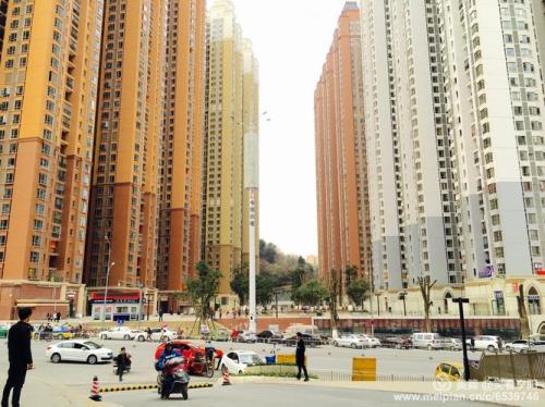 贵阳花果园楼盘有多少区