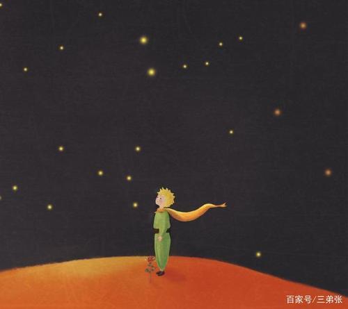小王子什么寓意