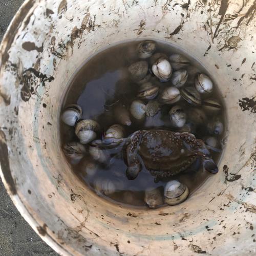 连云港冬季赶海最佳地点