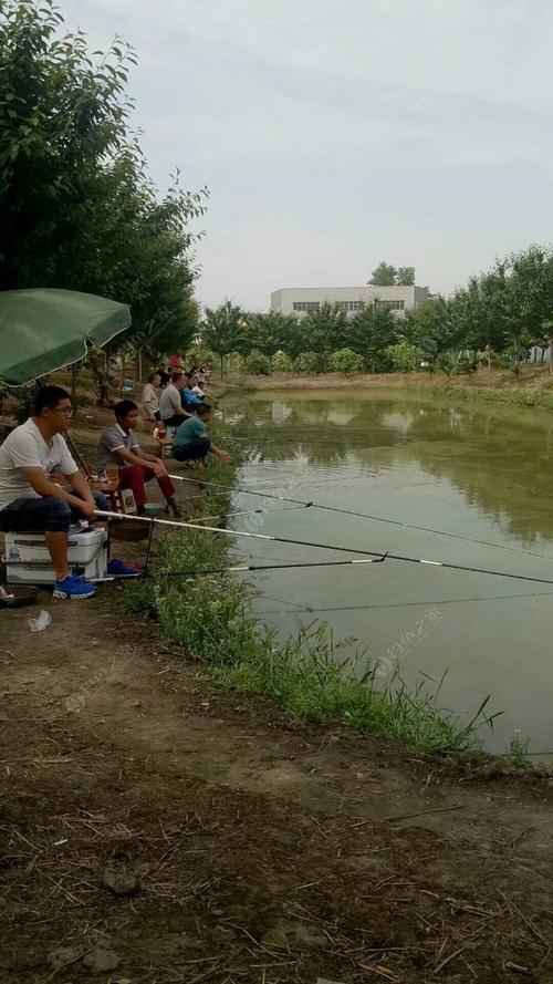 欢乐塘钓位间隔多远合适